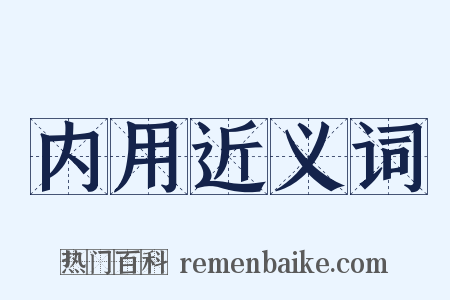 内用近义词是什么意思的图片